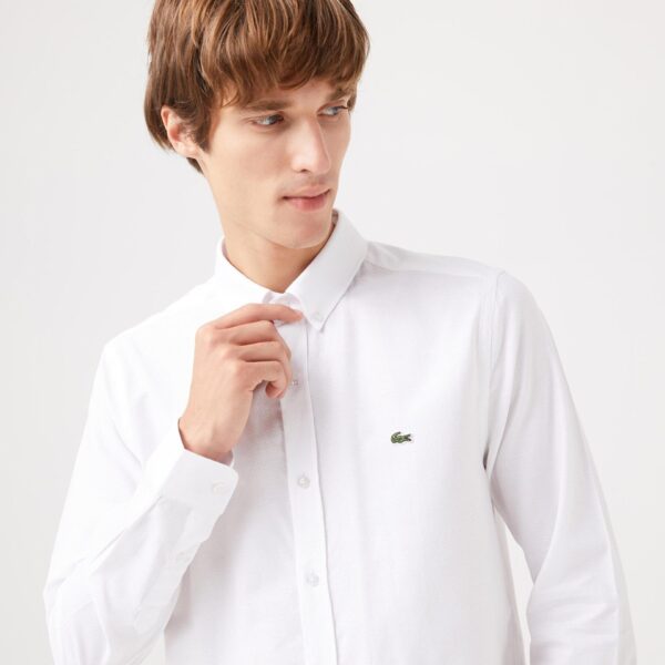 Lacoste Shirt