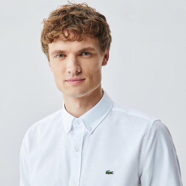 Lacoste Shirt