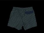 Emporio Armani Swimming Short